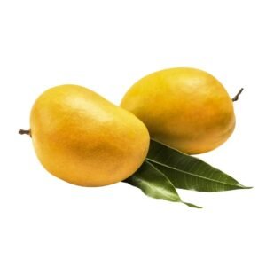 ALPHONSO MANGO (Mangifera indica)
