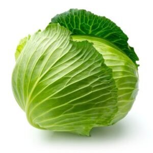CABBAGE