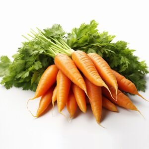 CARROT (Daucus carota)