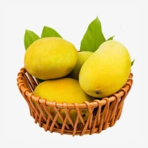 CHAUSA MANGO (Mangifera indica)