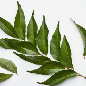 CURRY LEAF