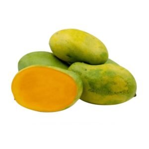 DASHERI MANGO (Mangifera indica)