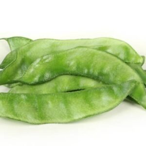 CULCUTA PAPDI (Dolichos lablab)