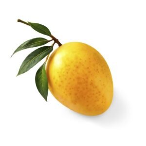 KESAR MANGO (Mangifera Indica)