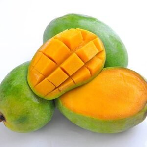 LANGRA MANGO (Mangifera indica)