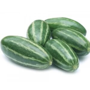 PANI PARWAL (Trichosanthes dioica)