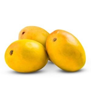 PAYRI MANGO (Mangifera indica)