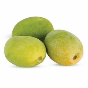 RAJAPURI MANGO (Mangifera indica)