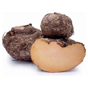 SURAN (Amorphophallus paeoniifolius)