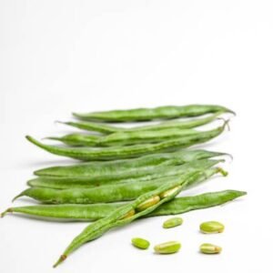 SURTI PAPADI (Dolichos lablab)