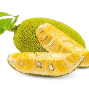 JACKFRUIT(Artocarpus heterophyllus)