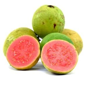 RED GUAVA (Psidium guajava)
