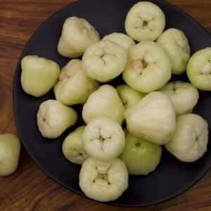 WHITE JAMUN(Syzygium Jambos)