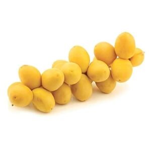 YELLOW DATES(Phoenix dactylifera)
